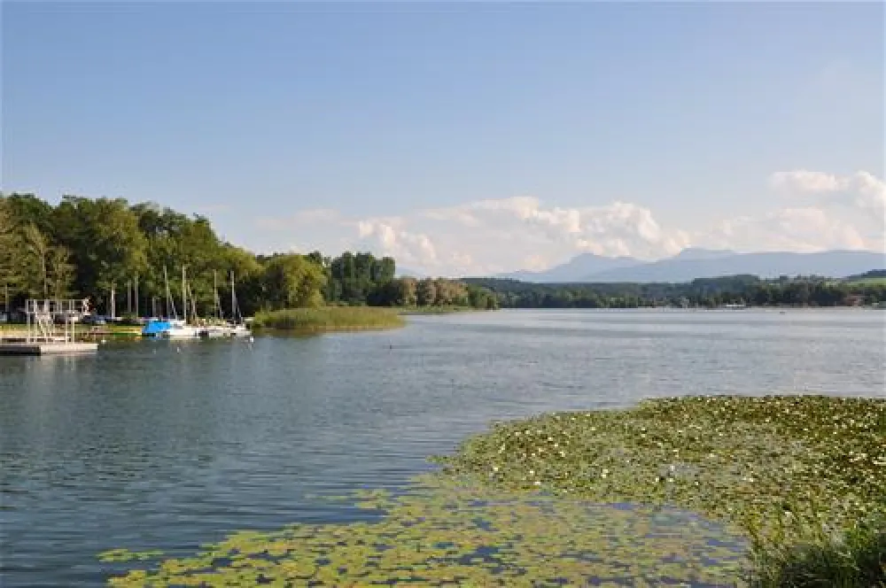 Ferienparadies Gut Horn