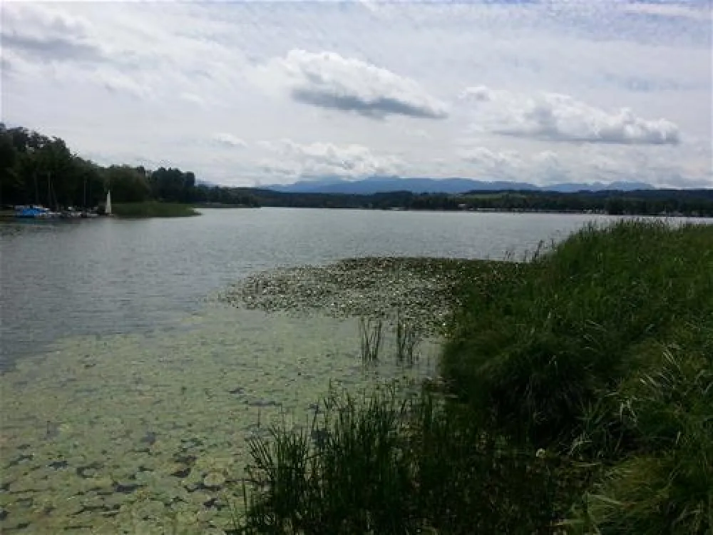 Ferienparadies Gut Horn