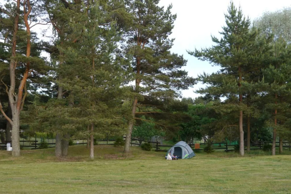 Camping Dzintarkrasts