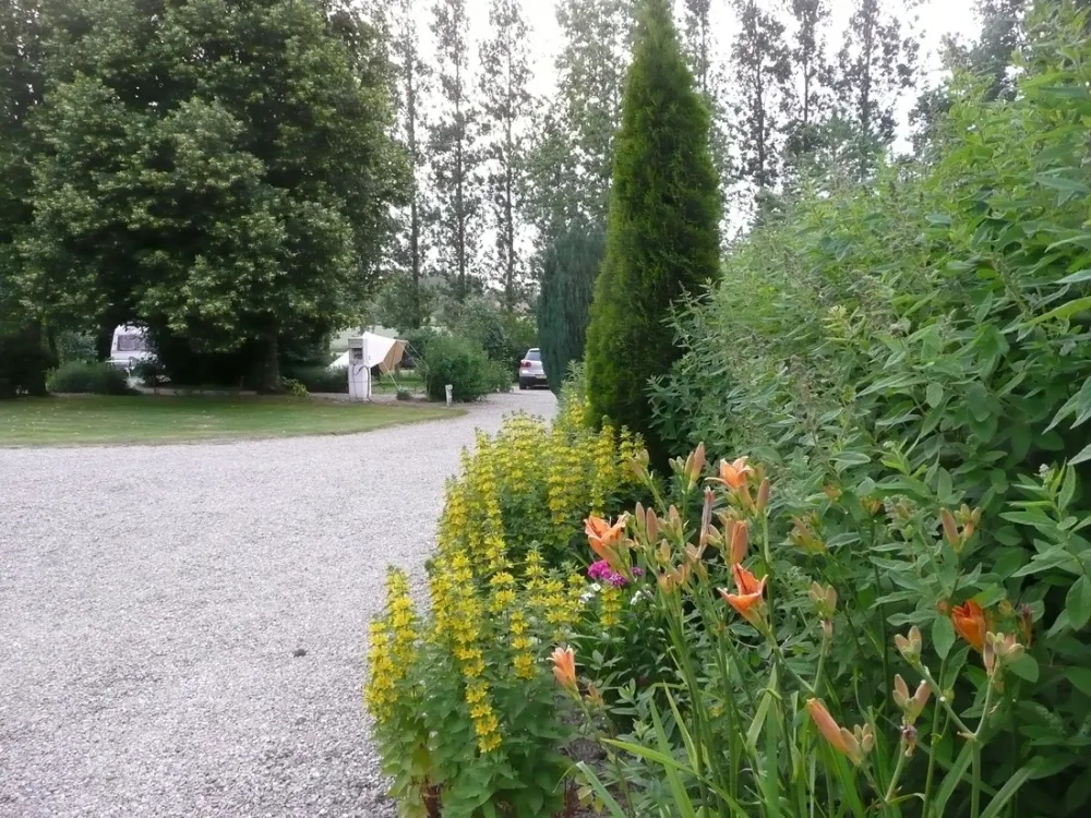 Camping aire naturelle Le Chalet