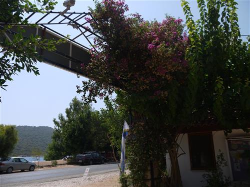 Olympos Mocamp photo 2