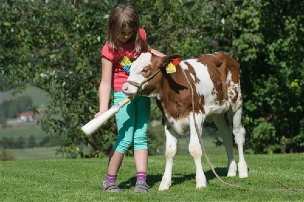 Bauernhofcamping Prefelnig