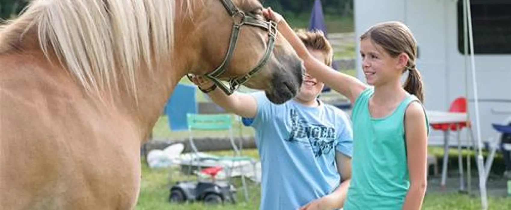 Bauernhofcamping Prefelnig