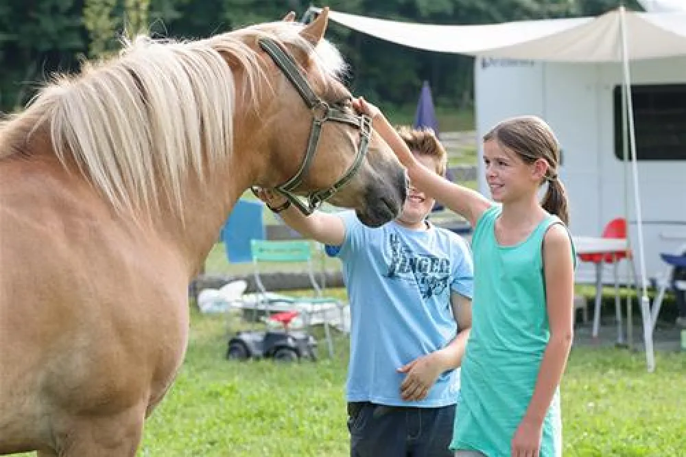 Bauernhofcamping Prefelnig