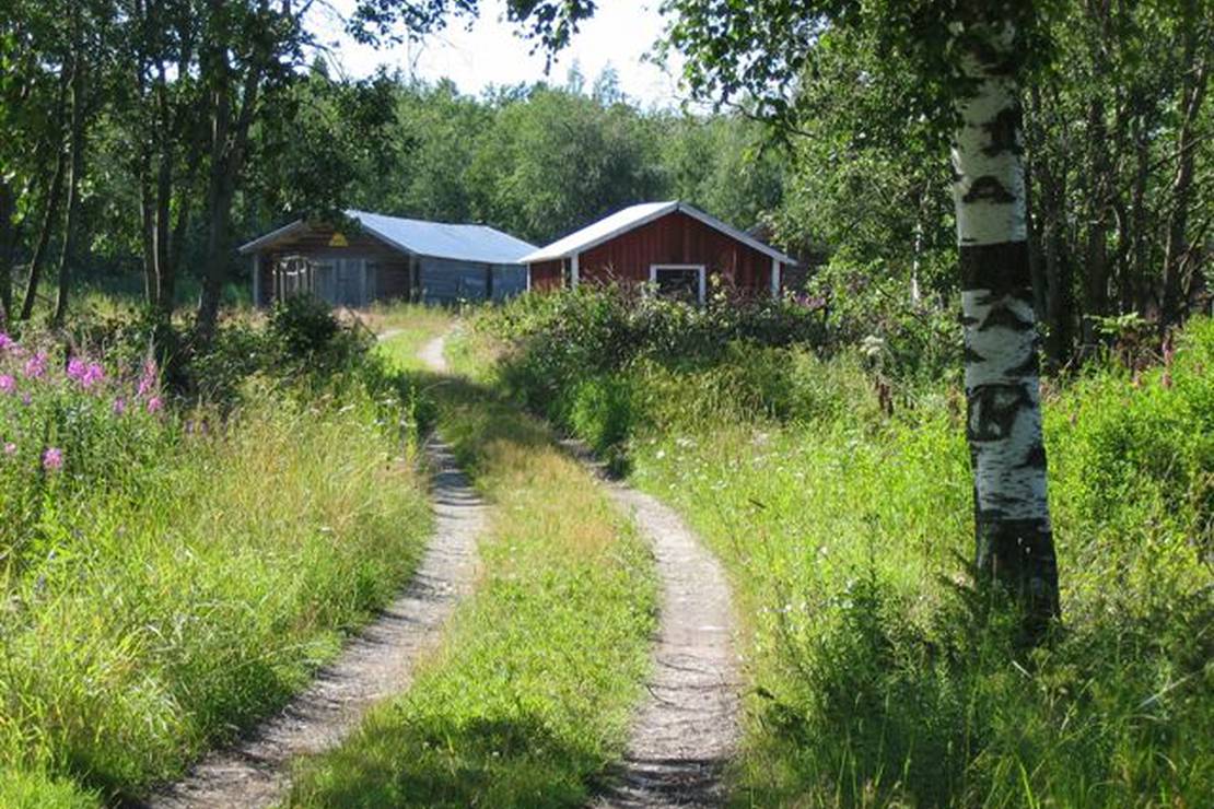 Camping Harrström UF photo 2