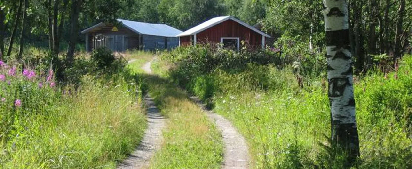 Camping Harrström UF