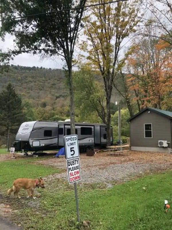 Stony Fork Creek Campground