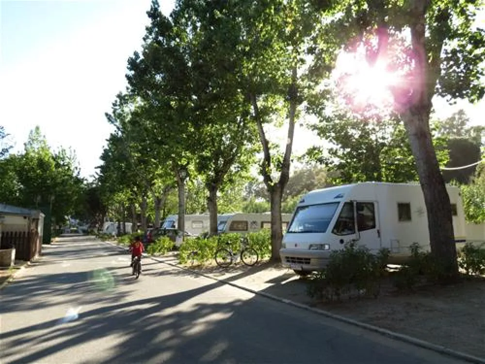 Camping Caravaning Marbella Playa