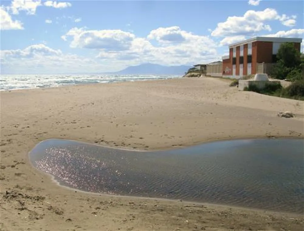 Camping Caravaning Marbella Playa