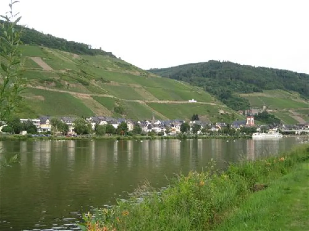 Campingpark Zell-Mosel
