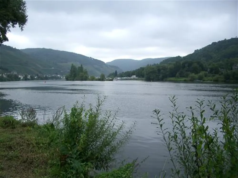 Campingpark Zell-Mosel