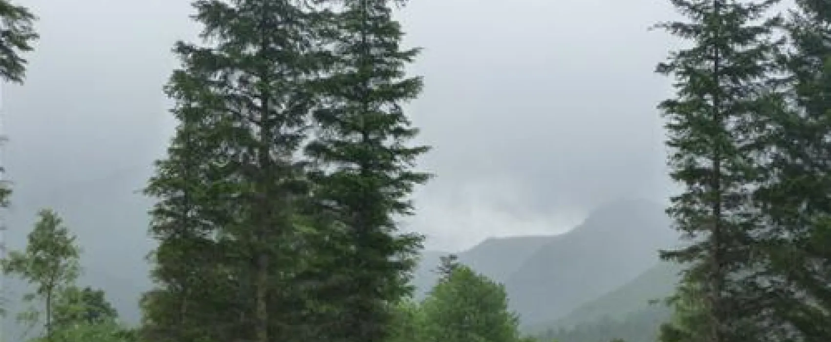 Nevis Range Campervan Park