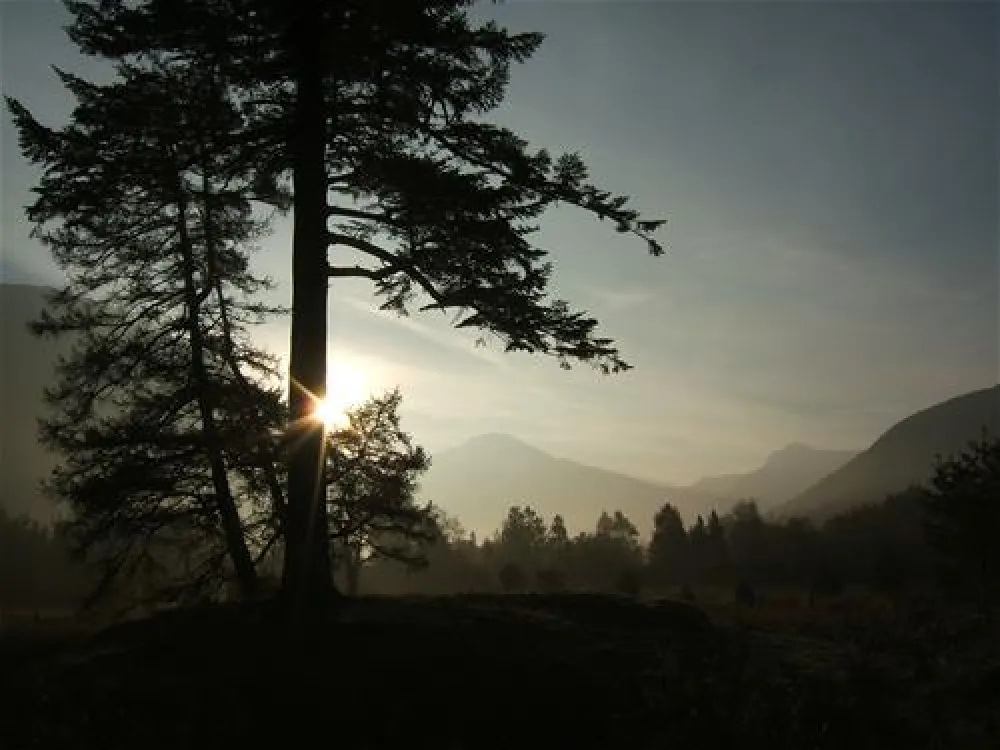 Nevis Range Campervan Park