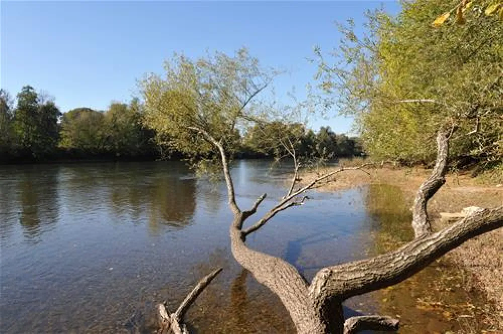 Flower Camping La Sagne