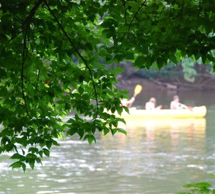 Flower Camping La Sagne