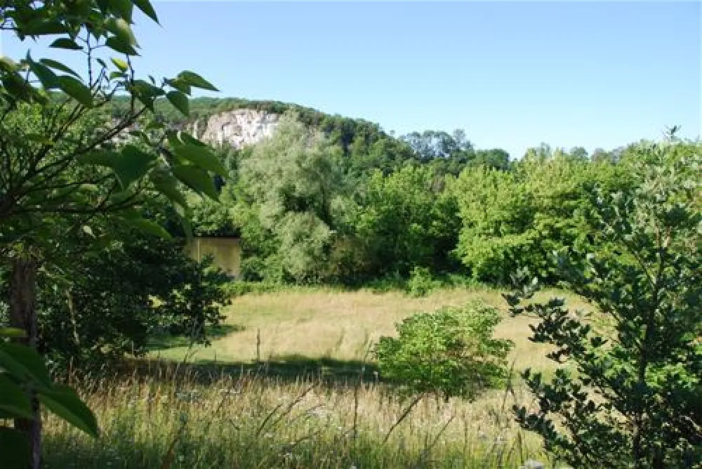 Flower Camping La Sagne