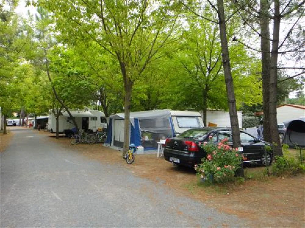 Camping ACTIV Loisirs Les Pins