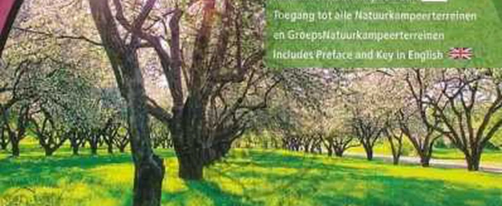 Camping De Buorkerij