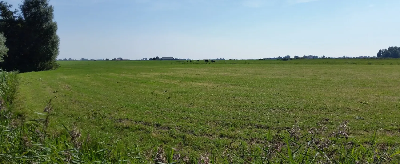 Camping De Buorkerij