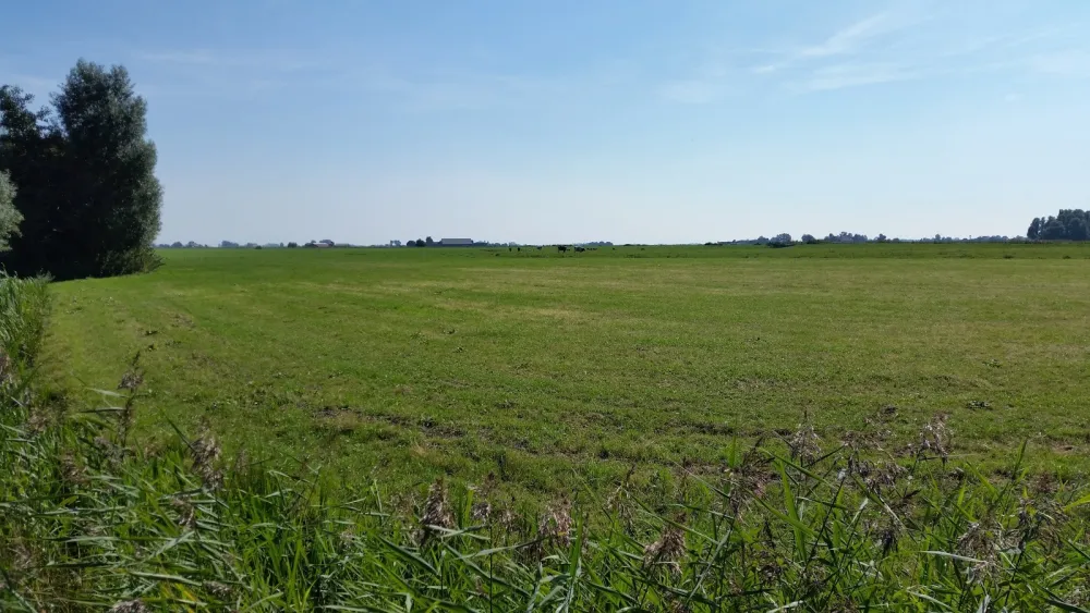 Camping De Buorkerij