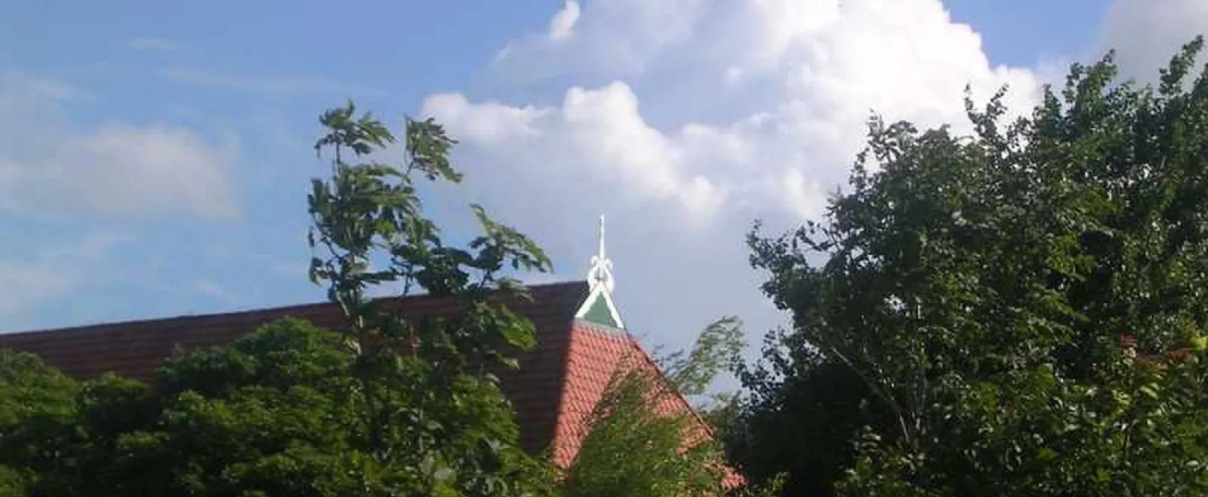 Camping De Buorkerij