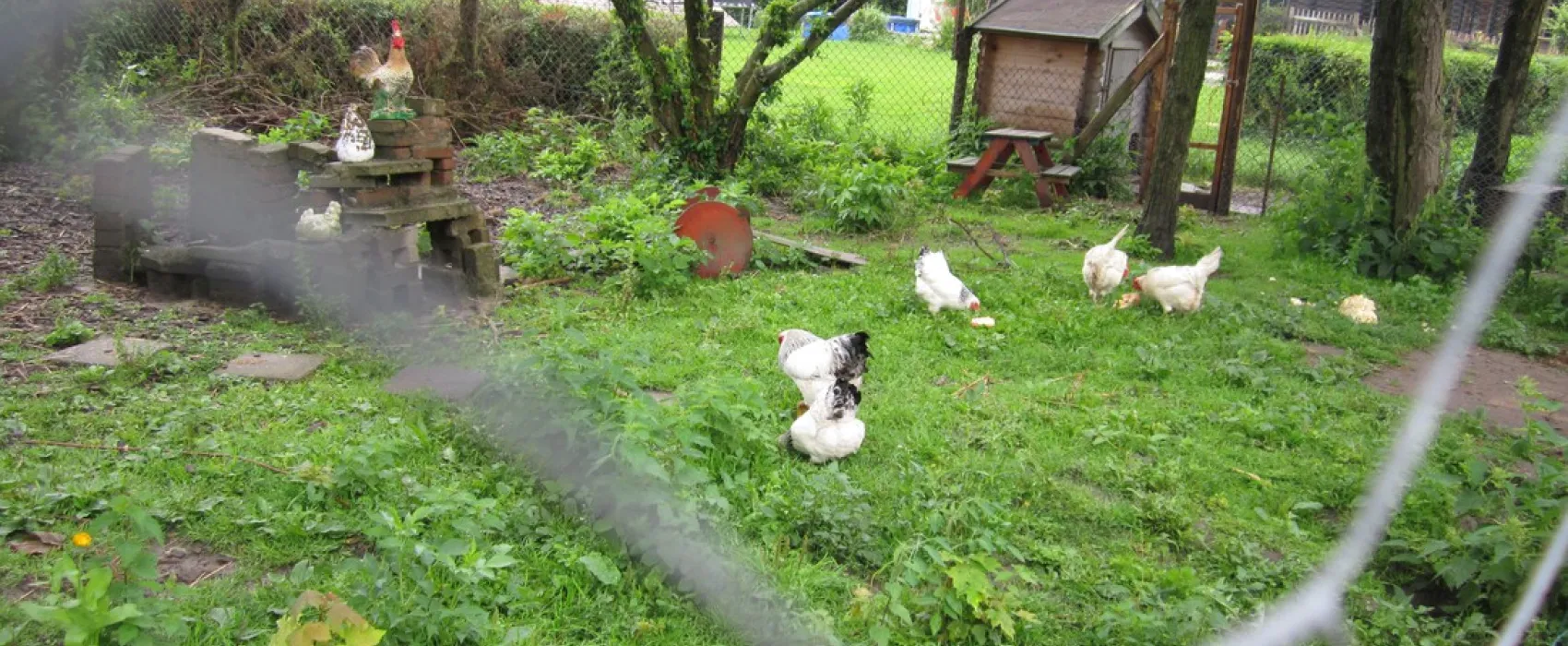 Recreatieboerderij de Sternhof