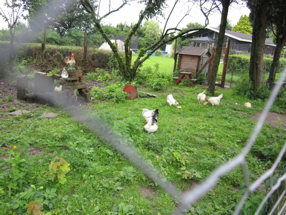 Recreatieboerderij de Sternhof