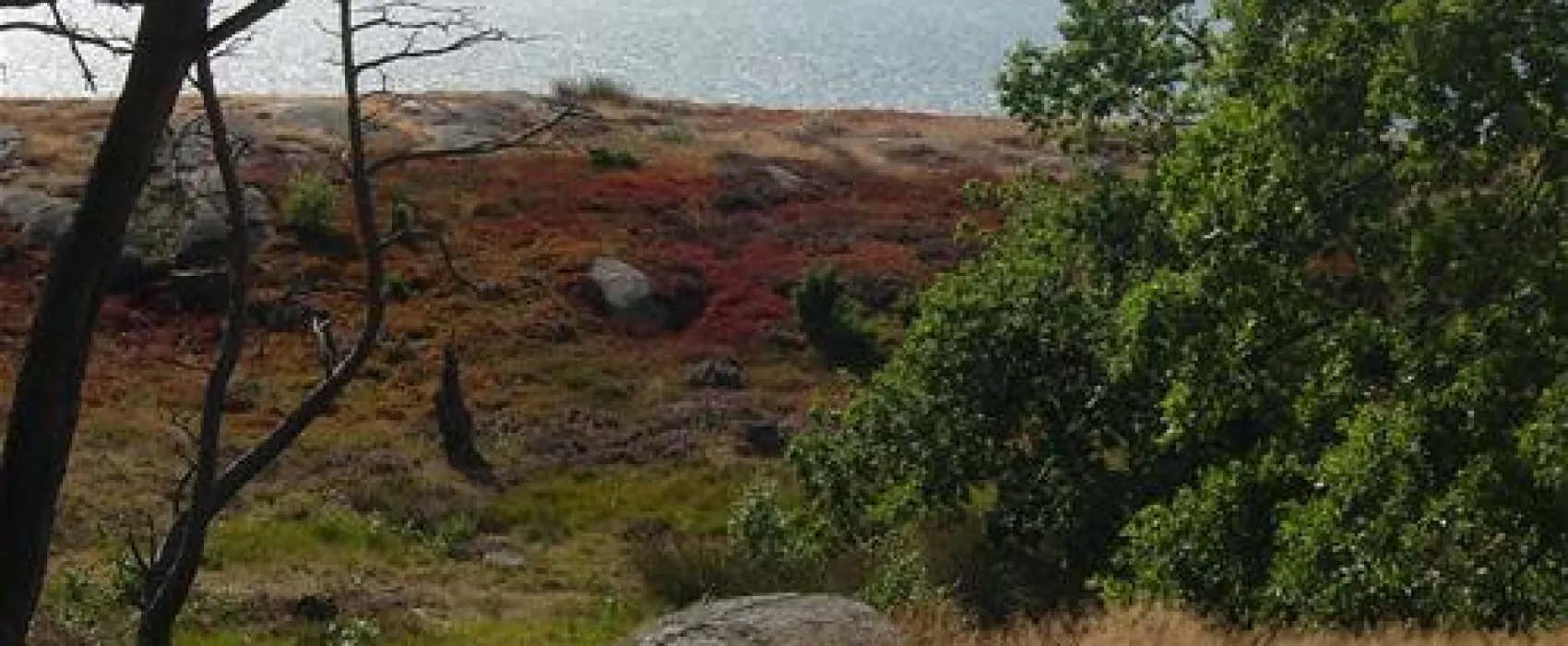 Sandvig Familie Camping