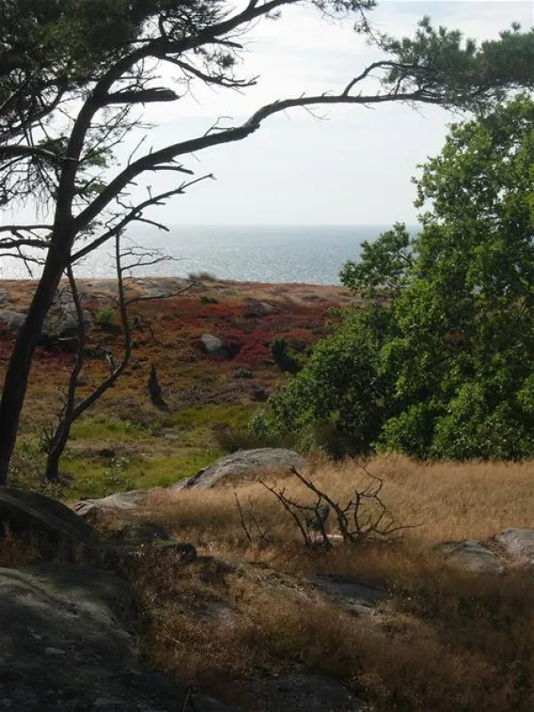 Sandvig Familie Camping