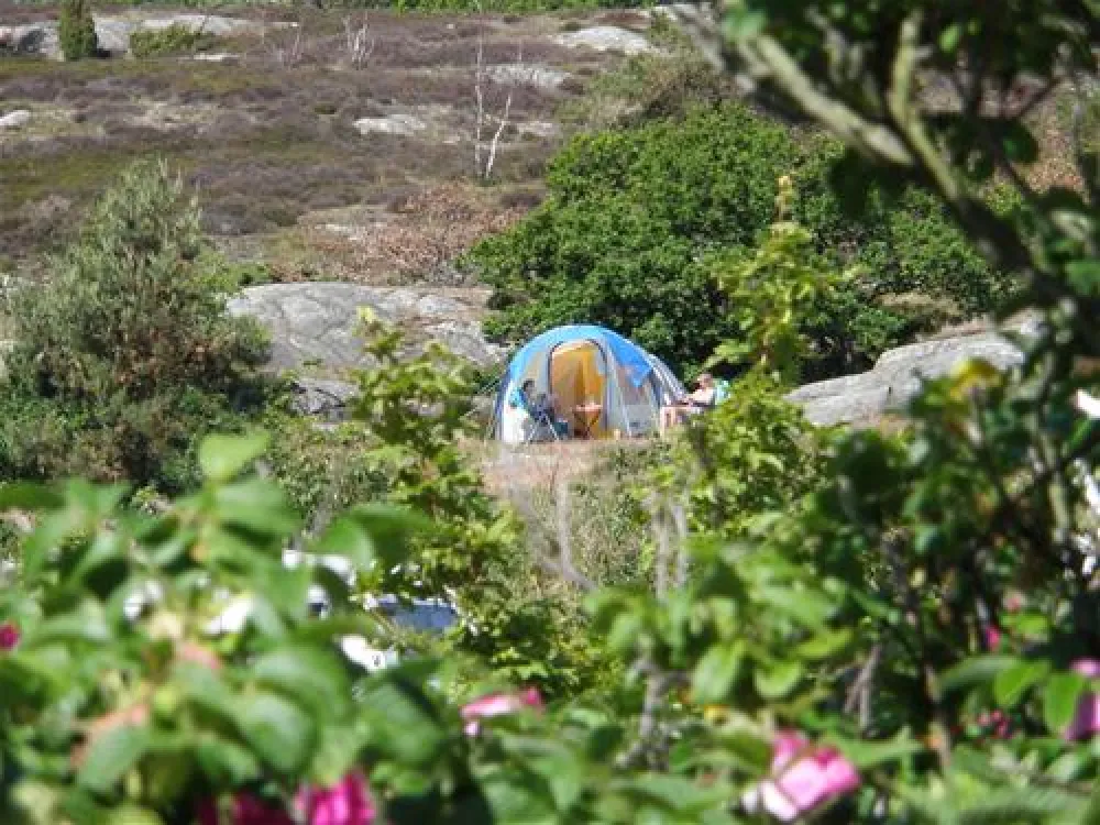 Sandvig Familie Camping