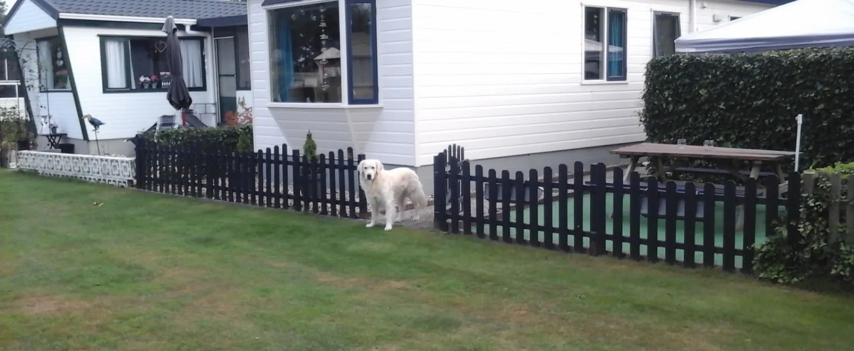 Jungle Avonturencamping