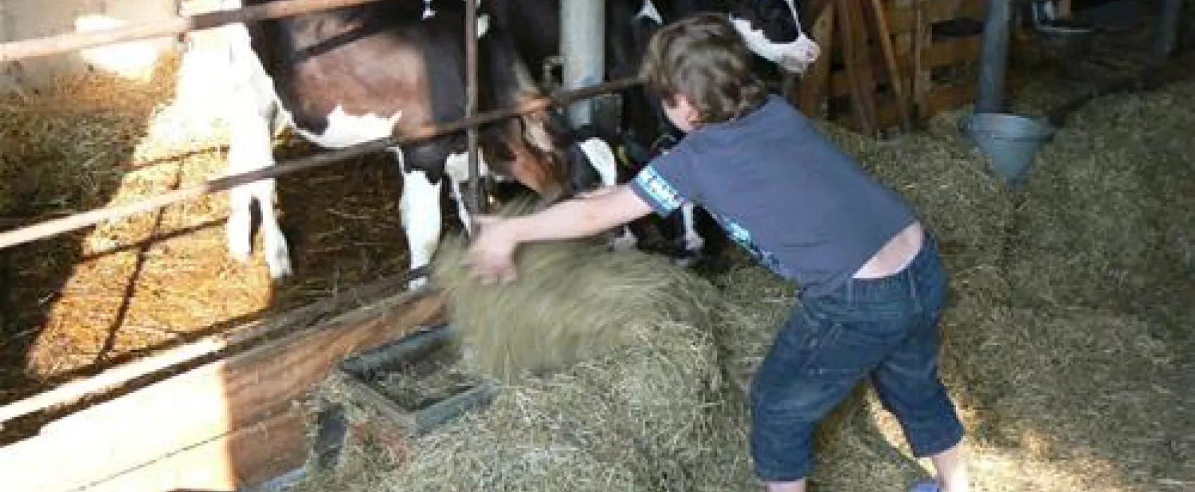 Camping Hoeve Montigny