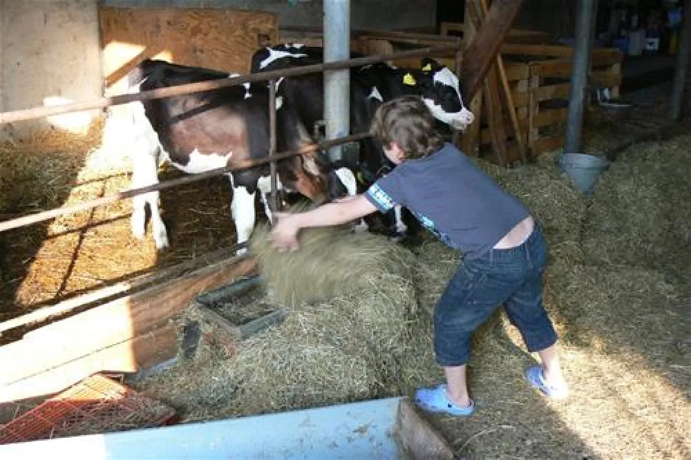 Camping Hoeve Montigny