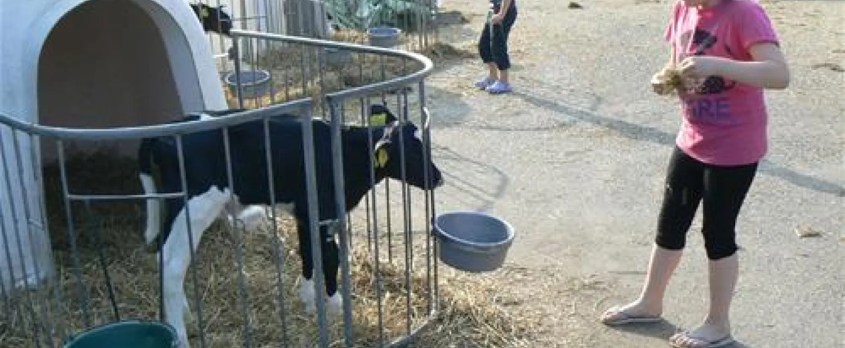 Camping Hoeve Montigny