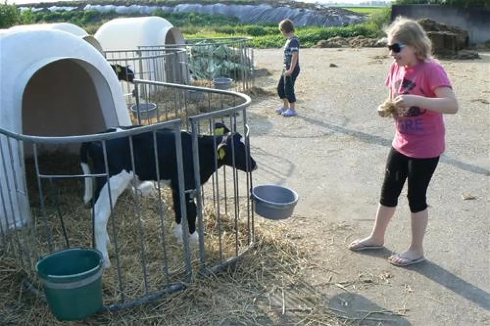 Camping Hoeve Montigny