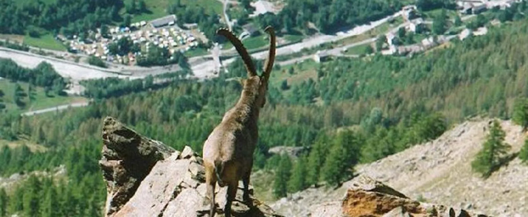 Camping Val di Rhemes