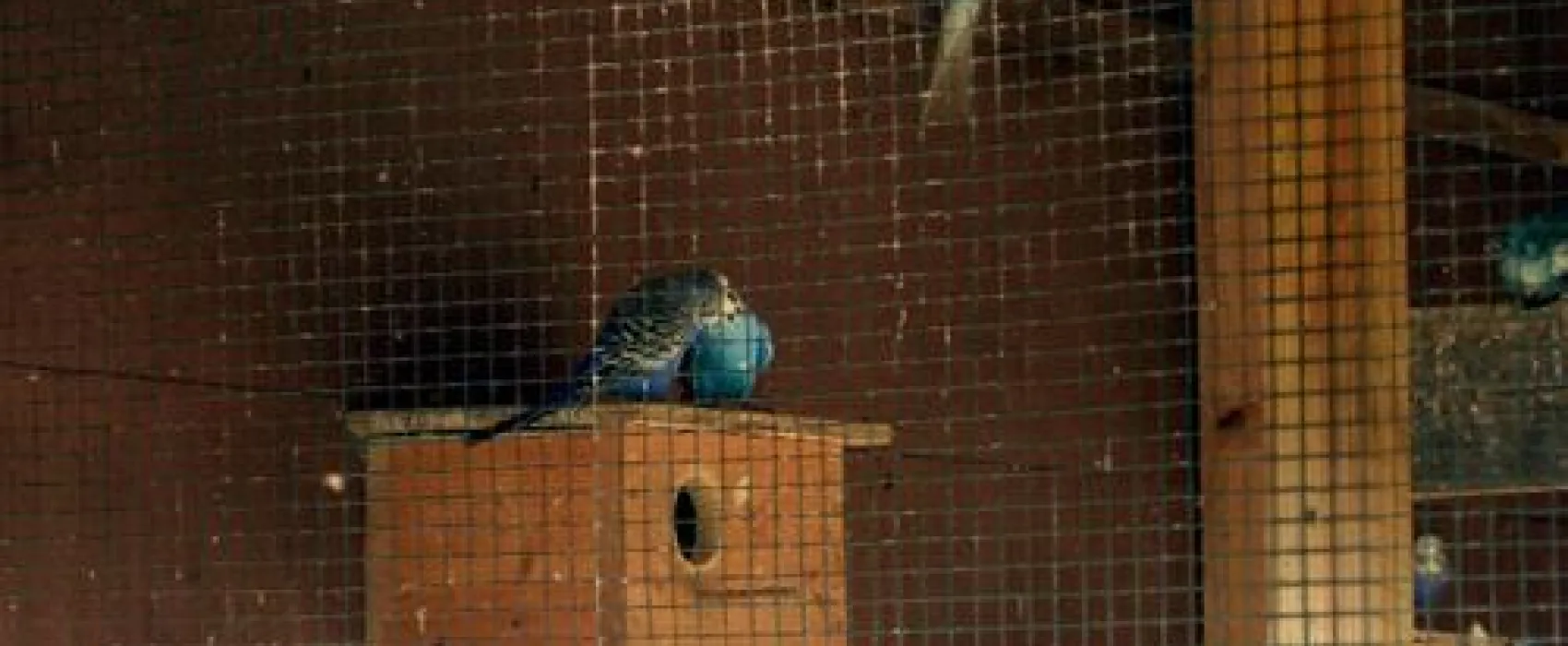 Wochenendpark Rethbergsee