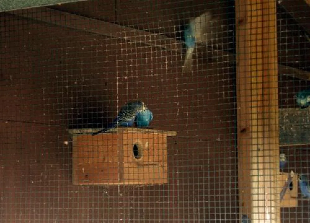 Wochenendpark Rethbergsee