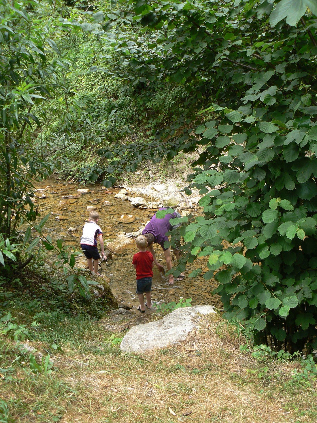 Camping Pfhlhof in Deutschland - Spottocamp - Spottocamp