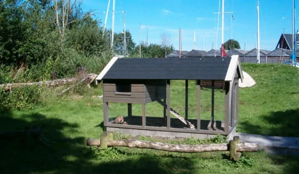 Camping De Veenhoop Watersport en Recreatie