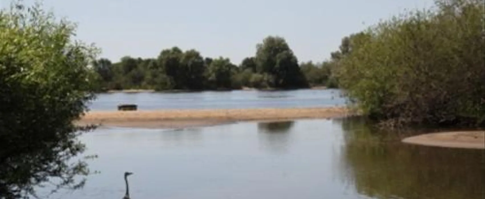 Camping Hohes Elbufer