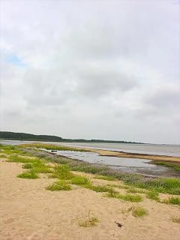 Randmäe Holiday Farm