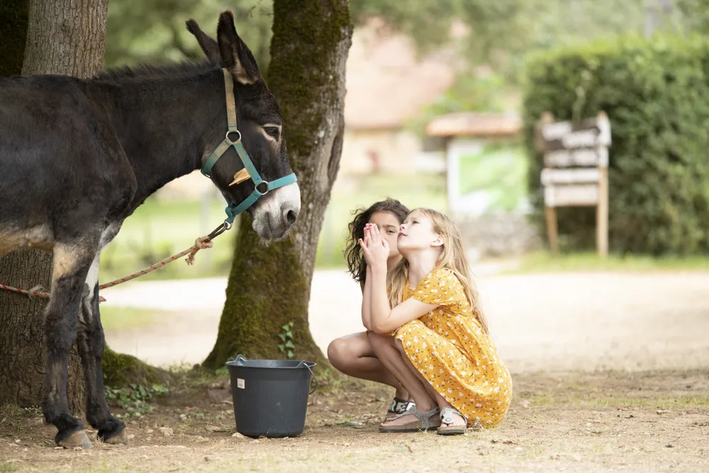 Camping Le Pech Charmant****