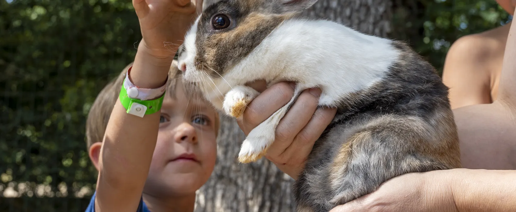Camping Le Pech Charmant****