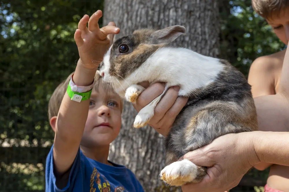 Camping Le Pech Charmant****