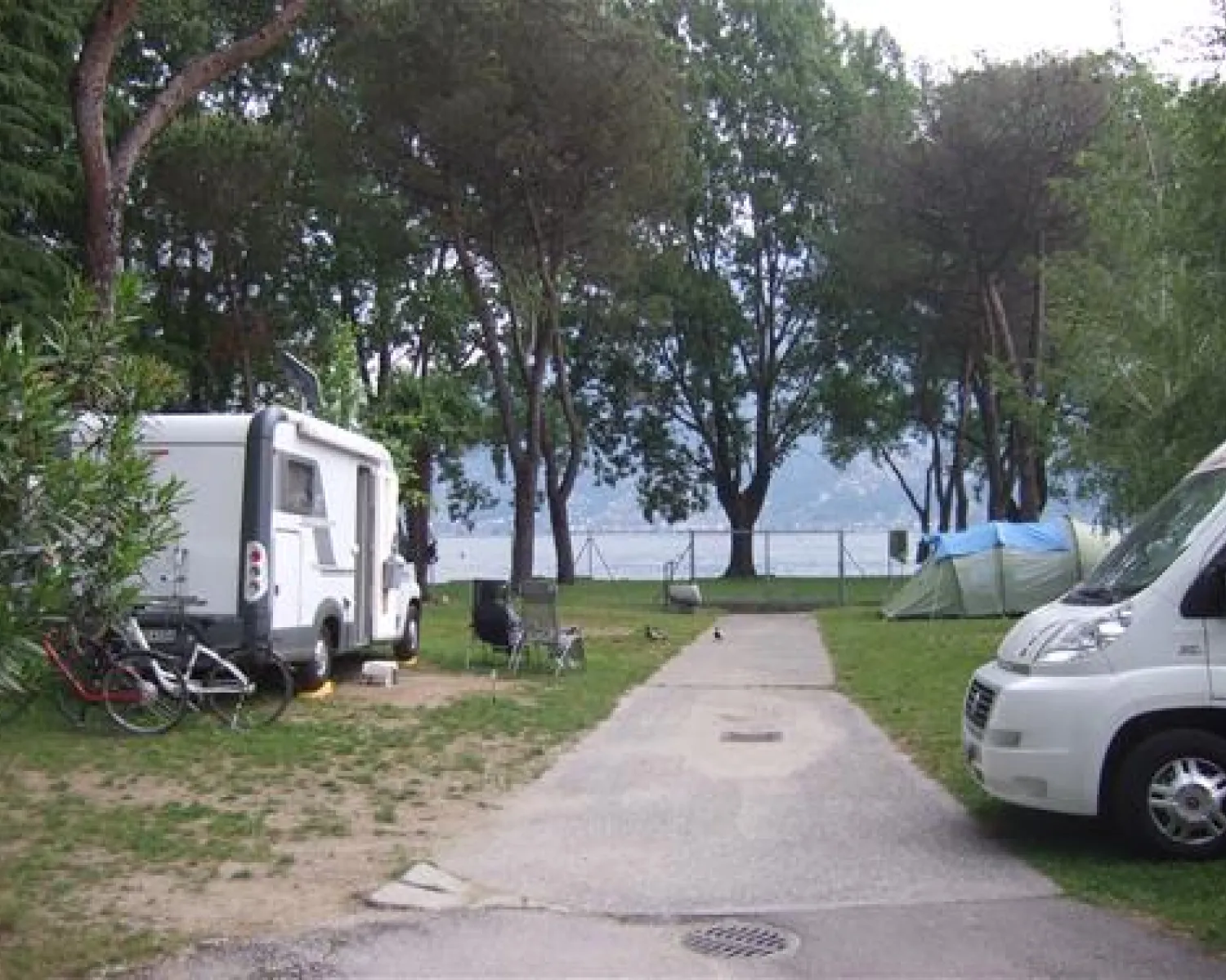 emaille teller camping Bundle: 2x Teller Wald