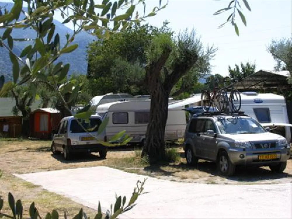 Camping Maslina
