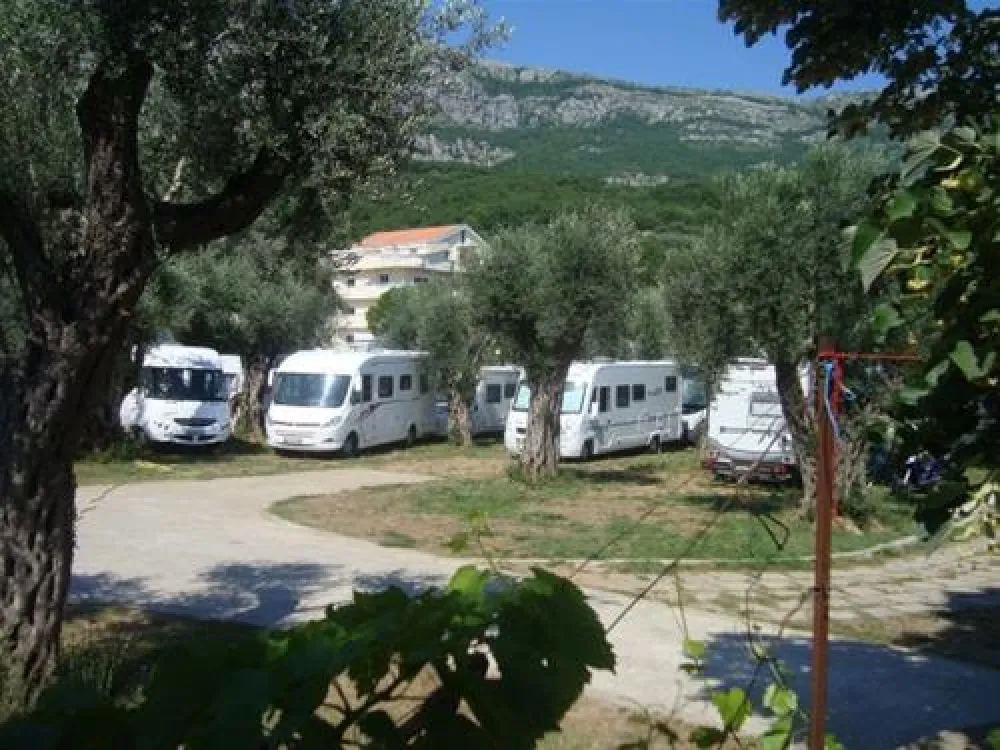 Camping Maslina
