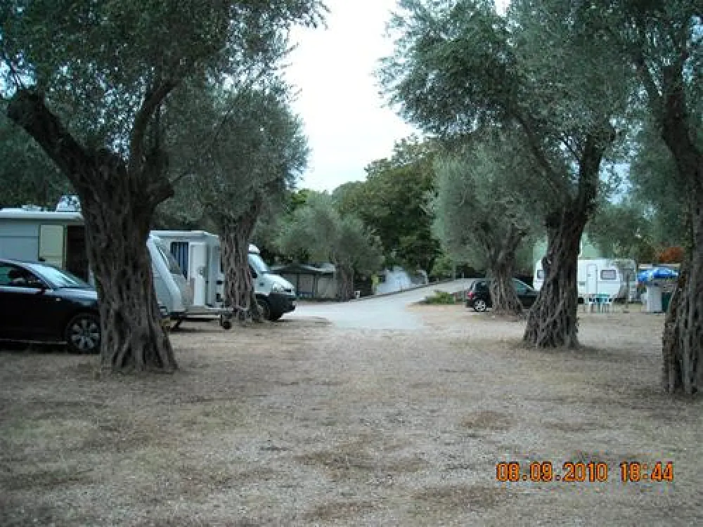 Camping Maslina