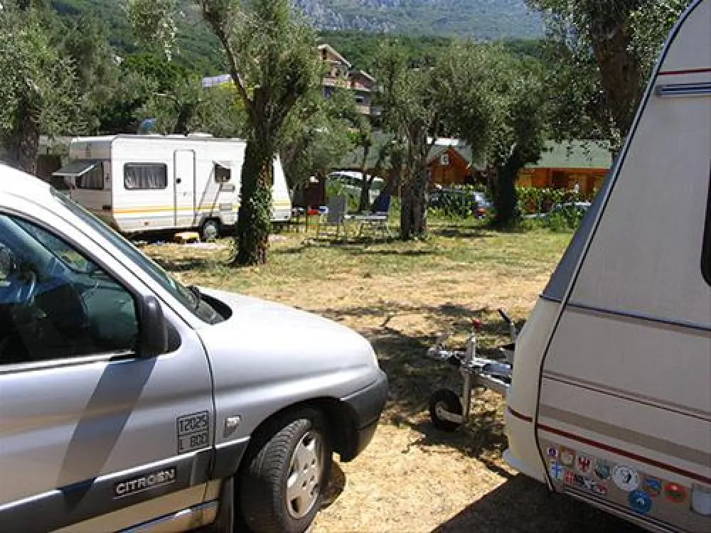 Camping Maslina